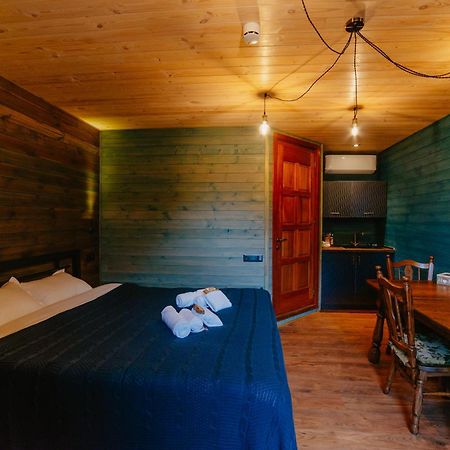 Hotel Wanderholic Telavi Exteriér fotografie